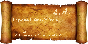 Lipcsei Antónia névjegykártya