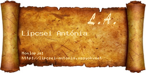 Lipcsei Antónia névjegykártya