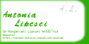 antonia lipcsei business card